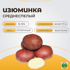 ИЗЮМИНКА