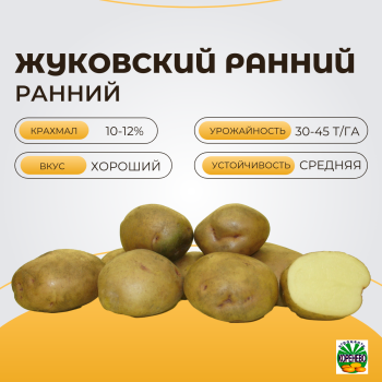 ЖУКОВСКИЙ РАННИЙ