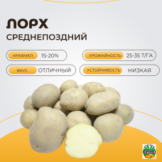 ЛОРХ