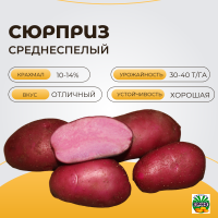 СЮРПРИЗ